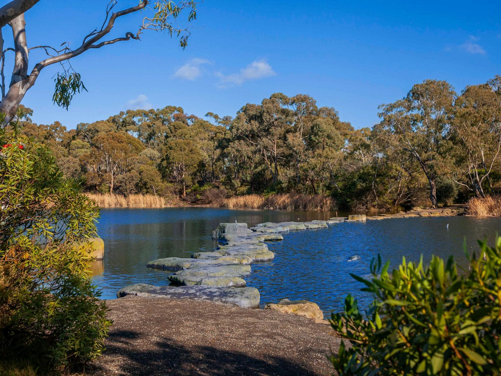 Newport Lakes Reserve Loop