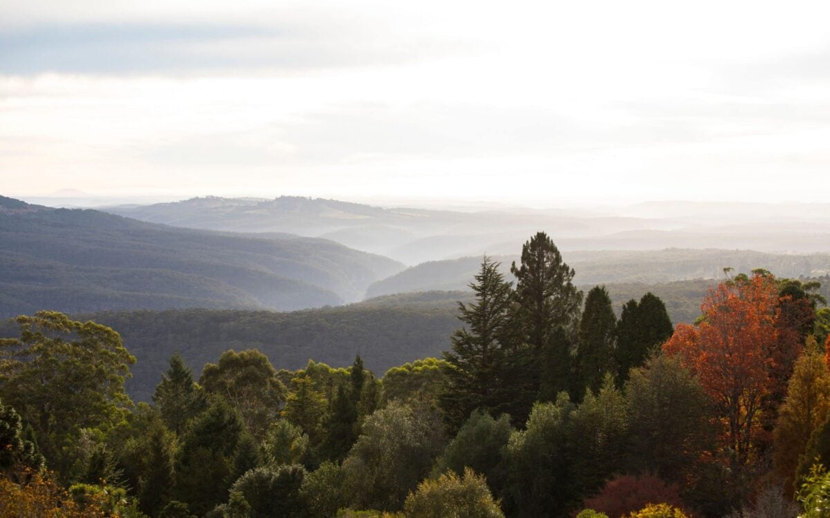 Your Dream Blue Mountains Bucket List