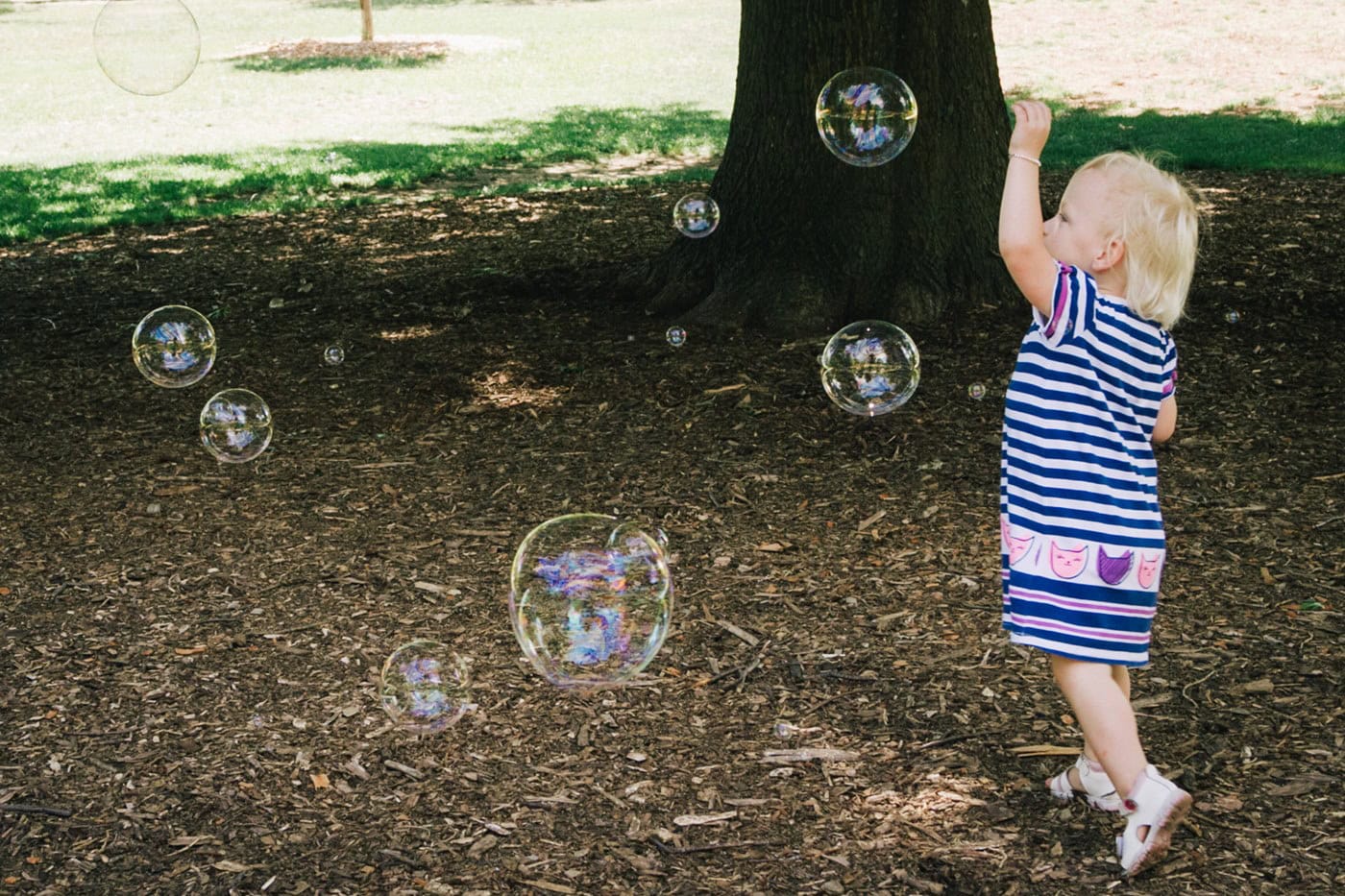 kid with bubbles at Wahroonga Park