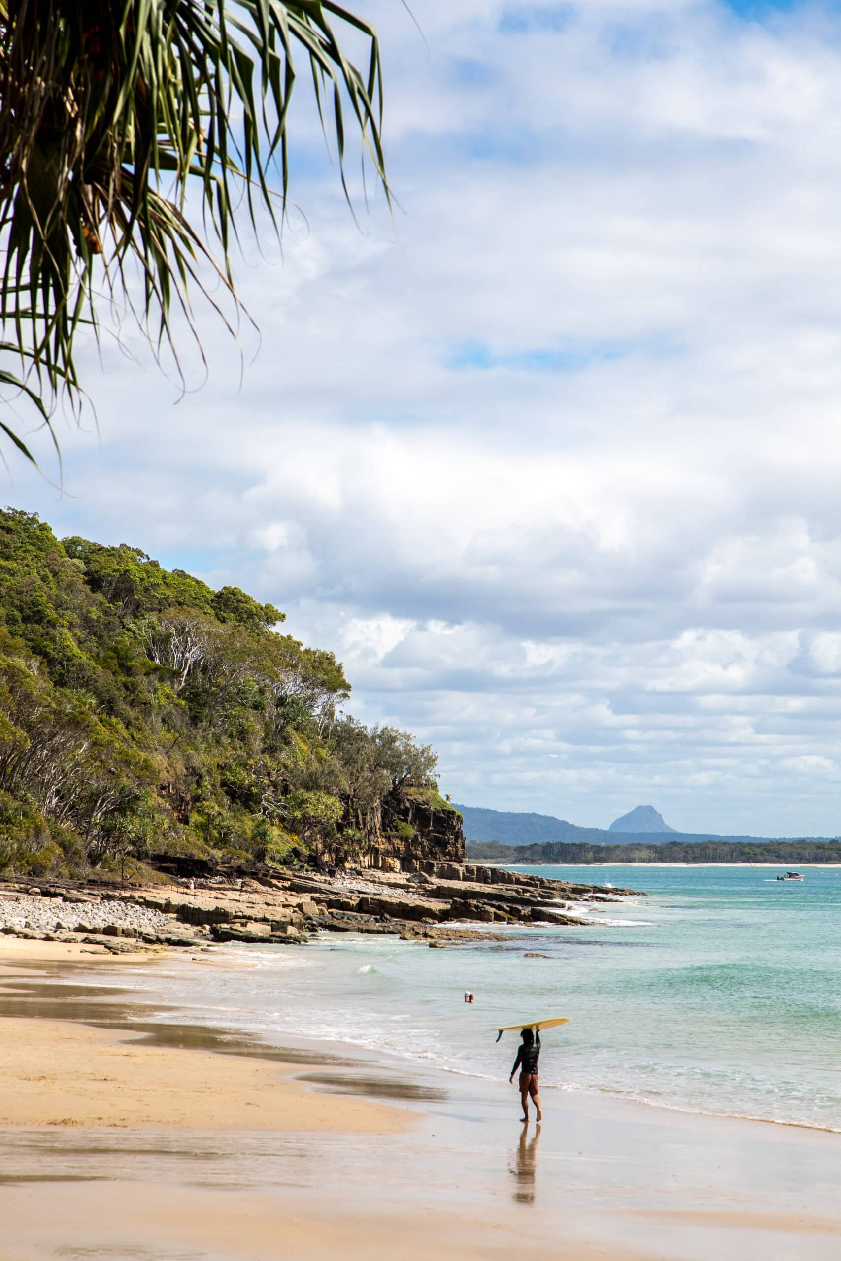 A surfer holding his board above his head as he walks along the beach in Noosa.