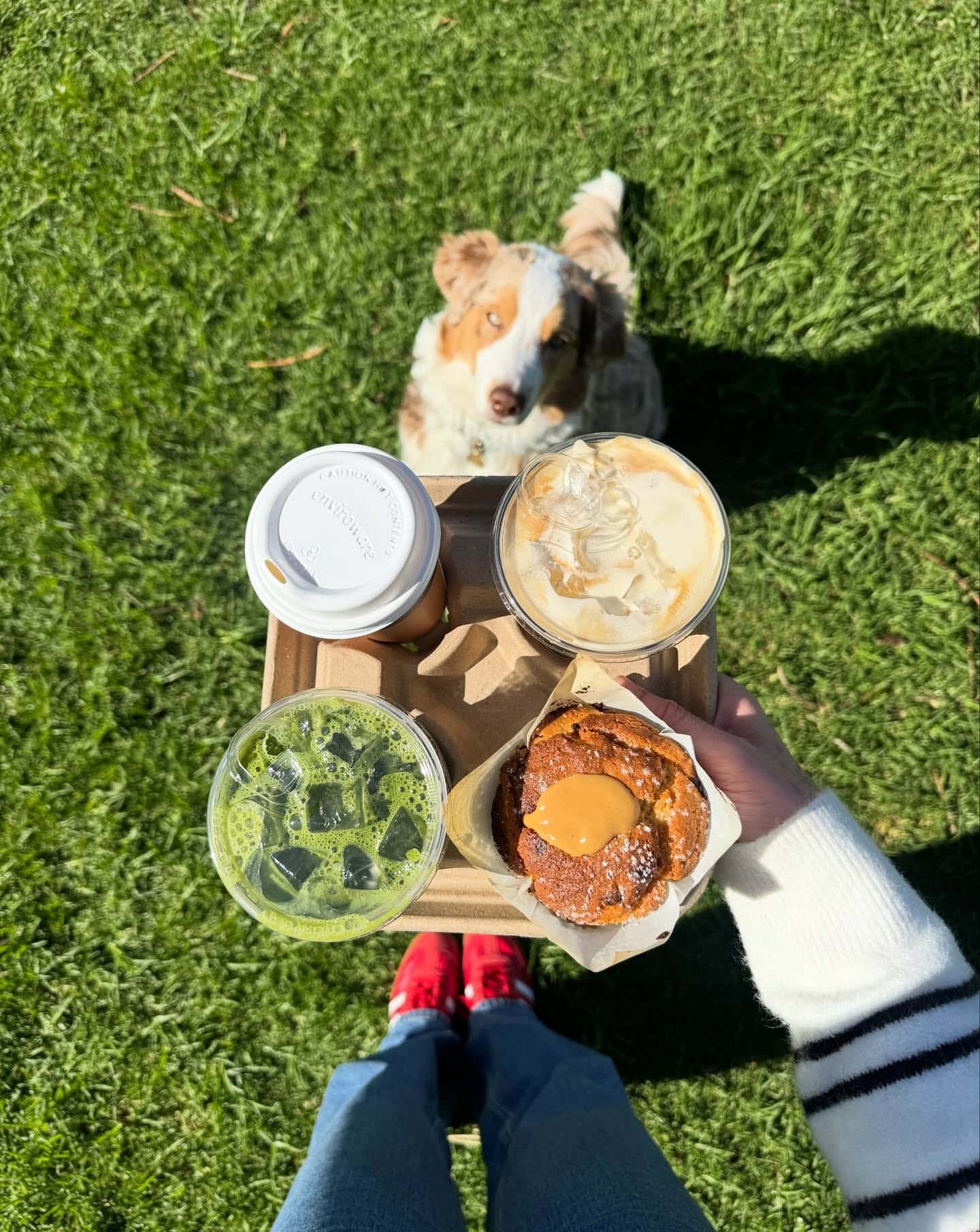 coffees and matcha shaka cafe freshwater