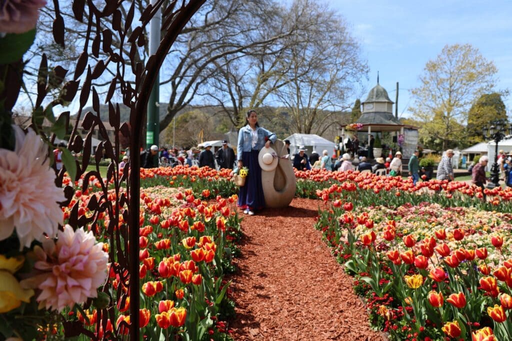 Visitor walking a path lined with red and yellow tulips at Tulip Time Festival, Corbett Gardens, Bowral