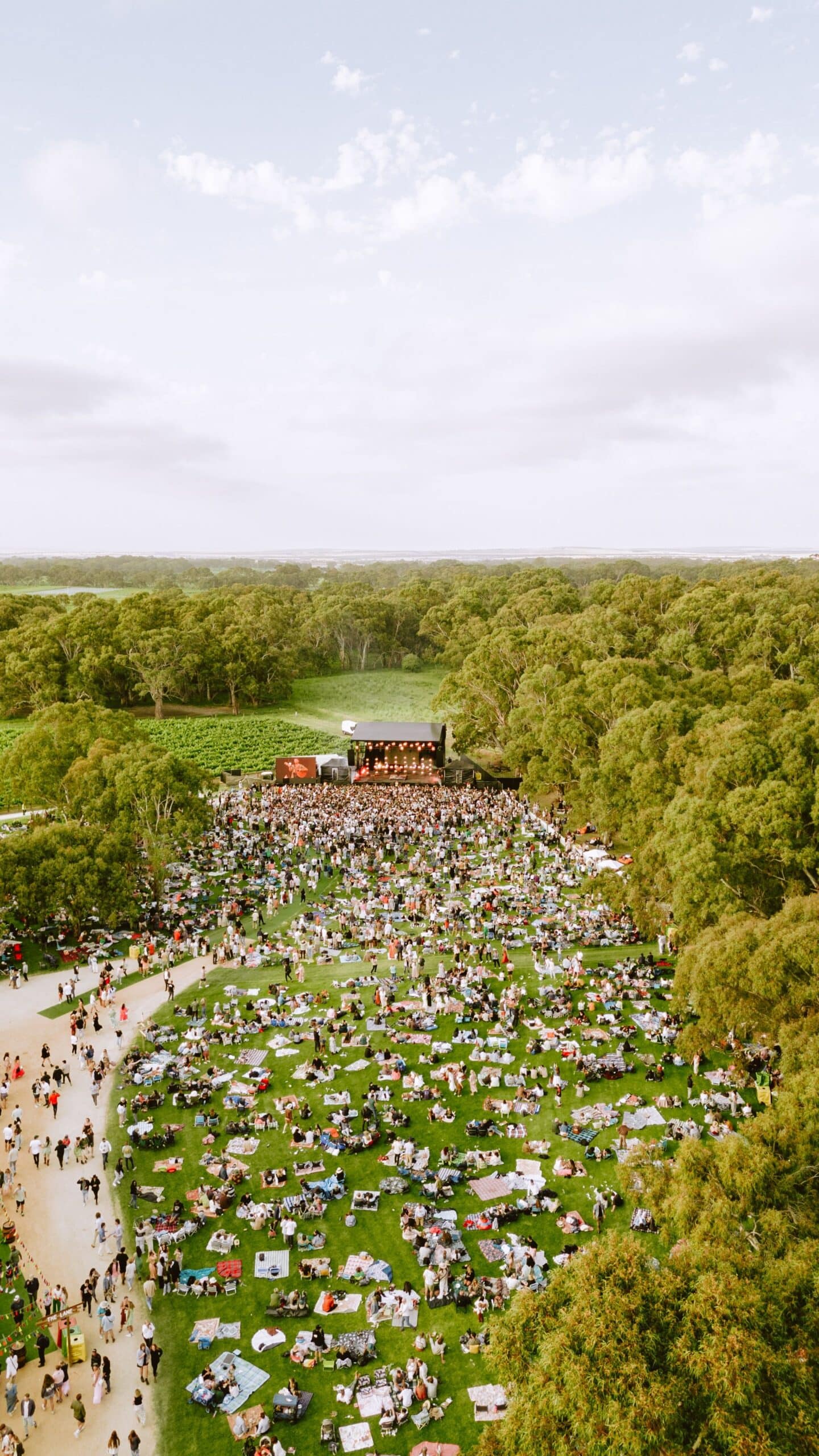 Aerial view of Handpicked Festival at Lake Breeze Wines, with hundreds of festival-goers gathered on picnic rugs beneath towering gum trees and a live music stage in the distance.