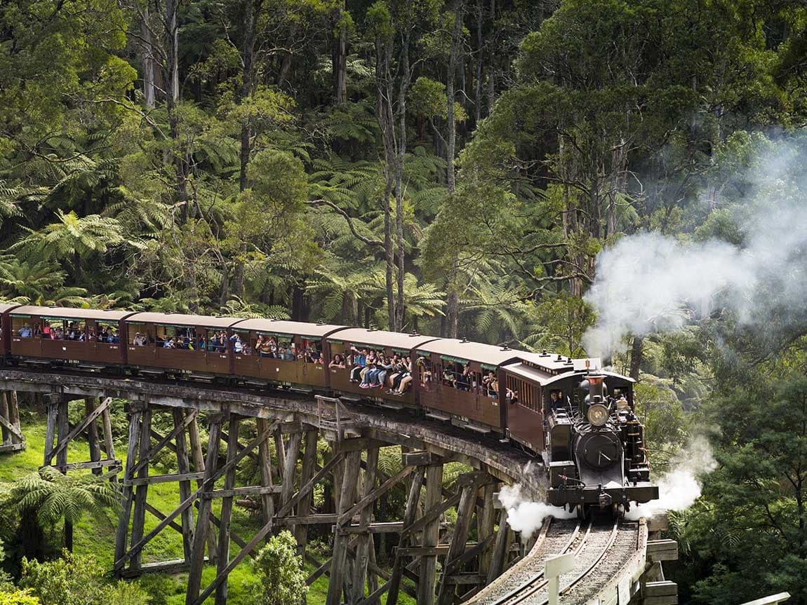 belgrave visit victoria puffing billy train ride.