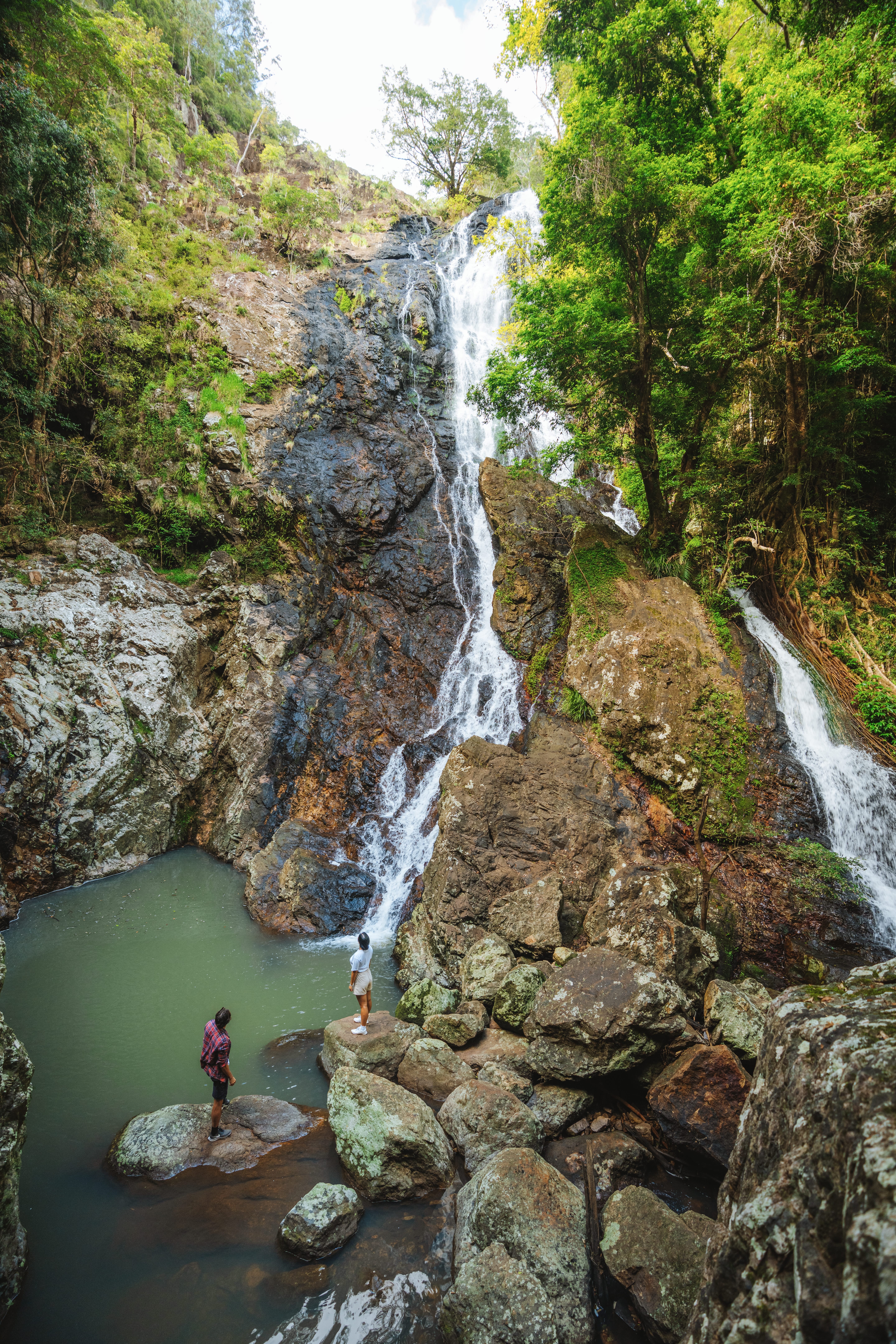 Couple standing on the rocks looking at the rock pool and Kondalilla Falls