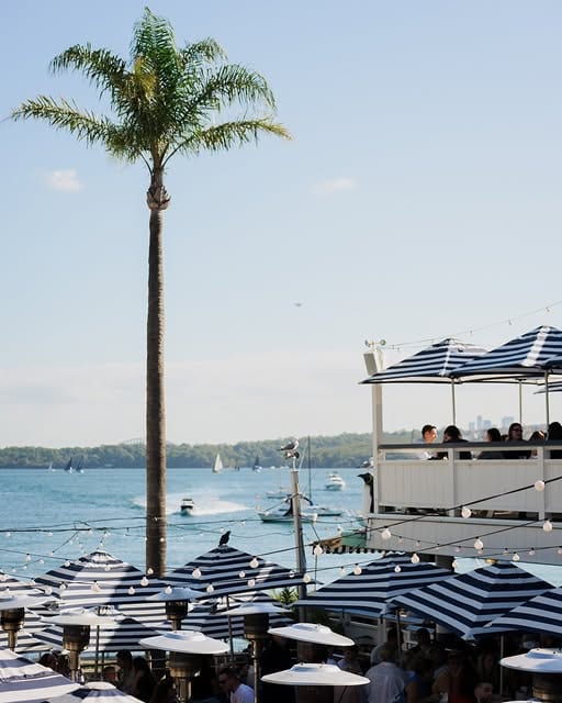 A lone palm tree and the protruding balcony at Wastons Bay Hotel.