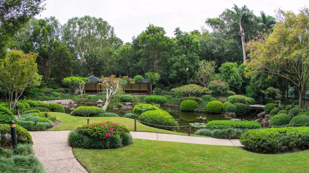 The manicured, vibrant green expanse of the Japanese Garden at Brisbane Botanic Garden.