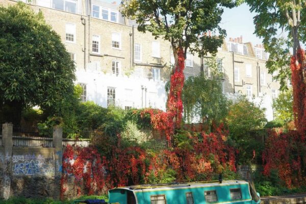 Eat, Sip And Stroll Your Way Through North London