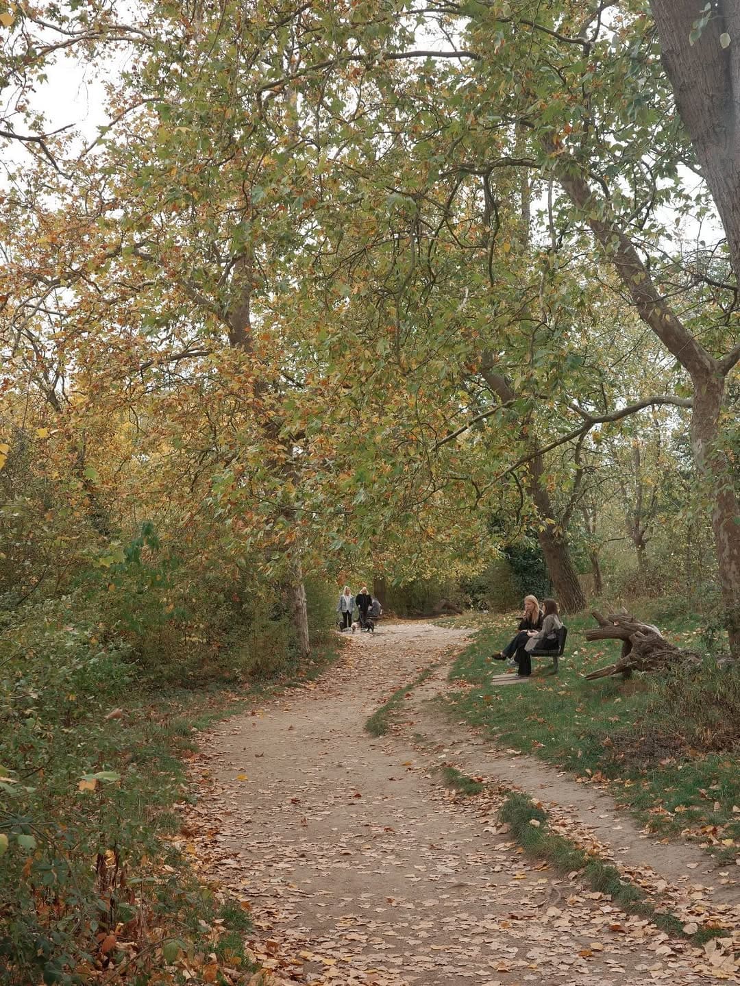 People sitting on a bench in Hampstead Heath in autumn.