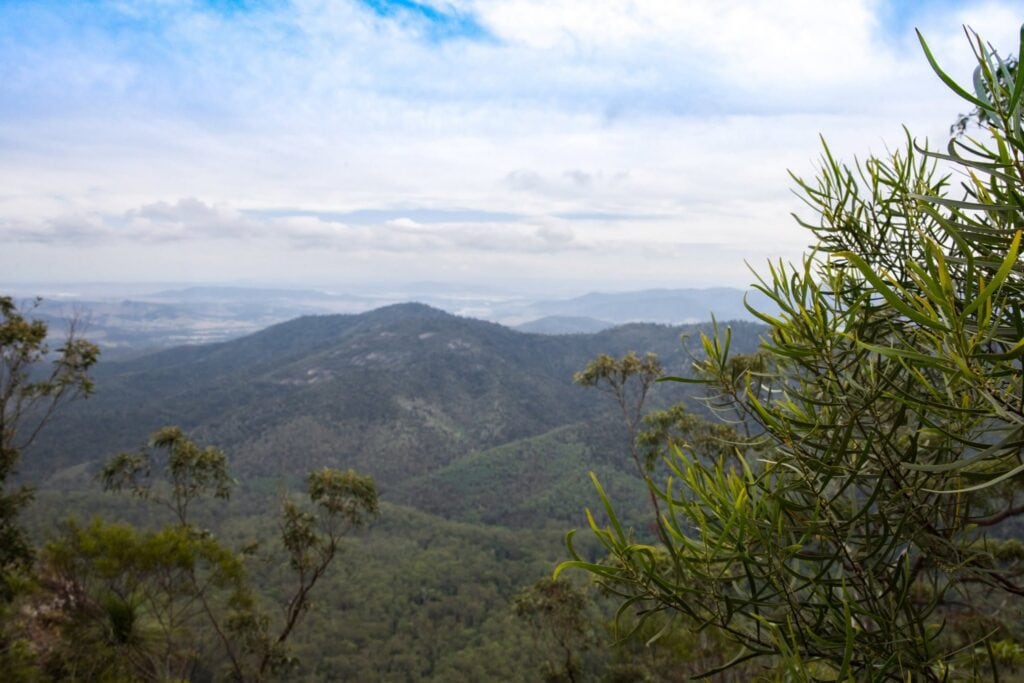 One of the viewpoints within D'Aguilar National Park.