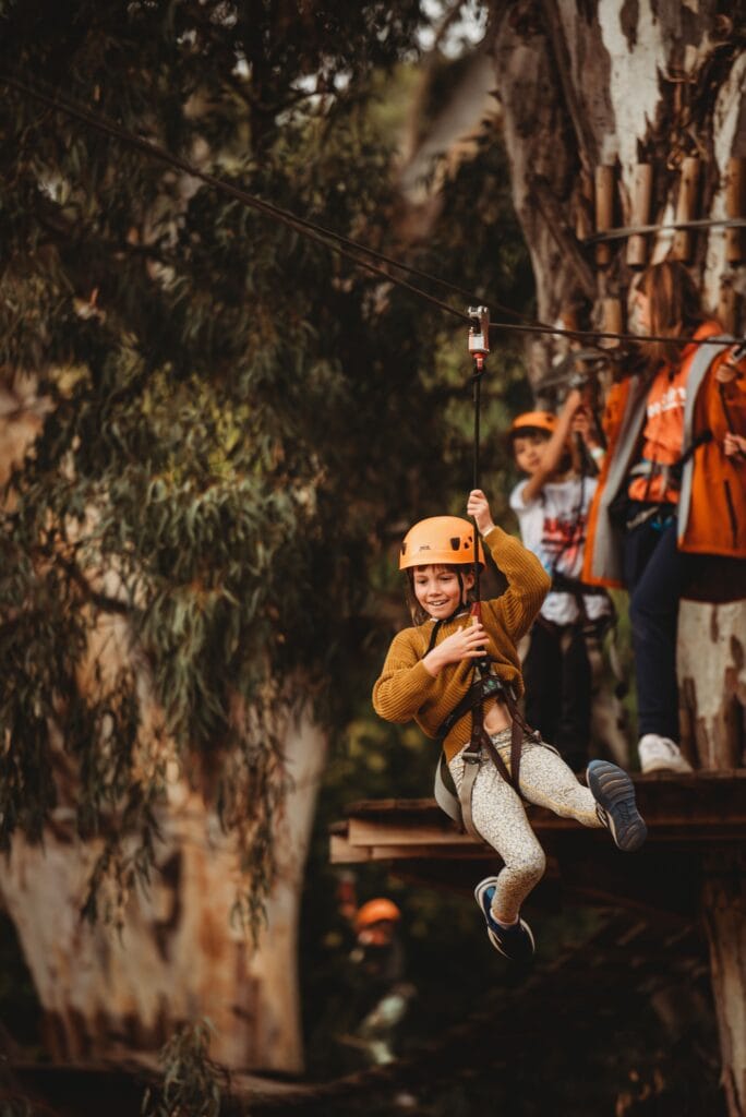 TreeClimb in Adelaide.