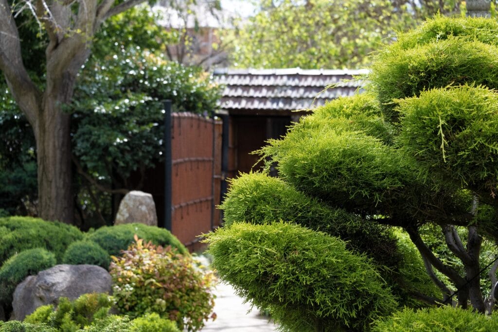 Himeji Japanese Garden in Adelaide.