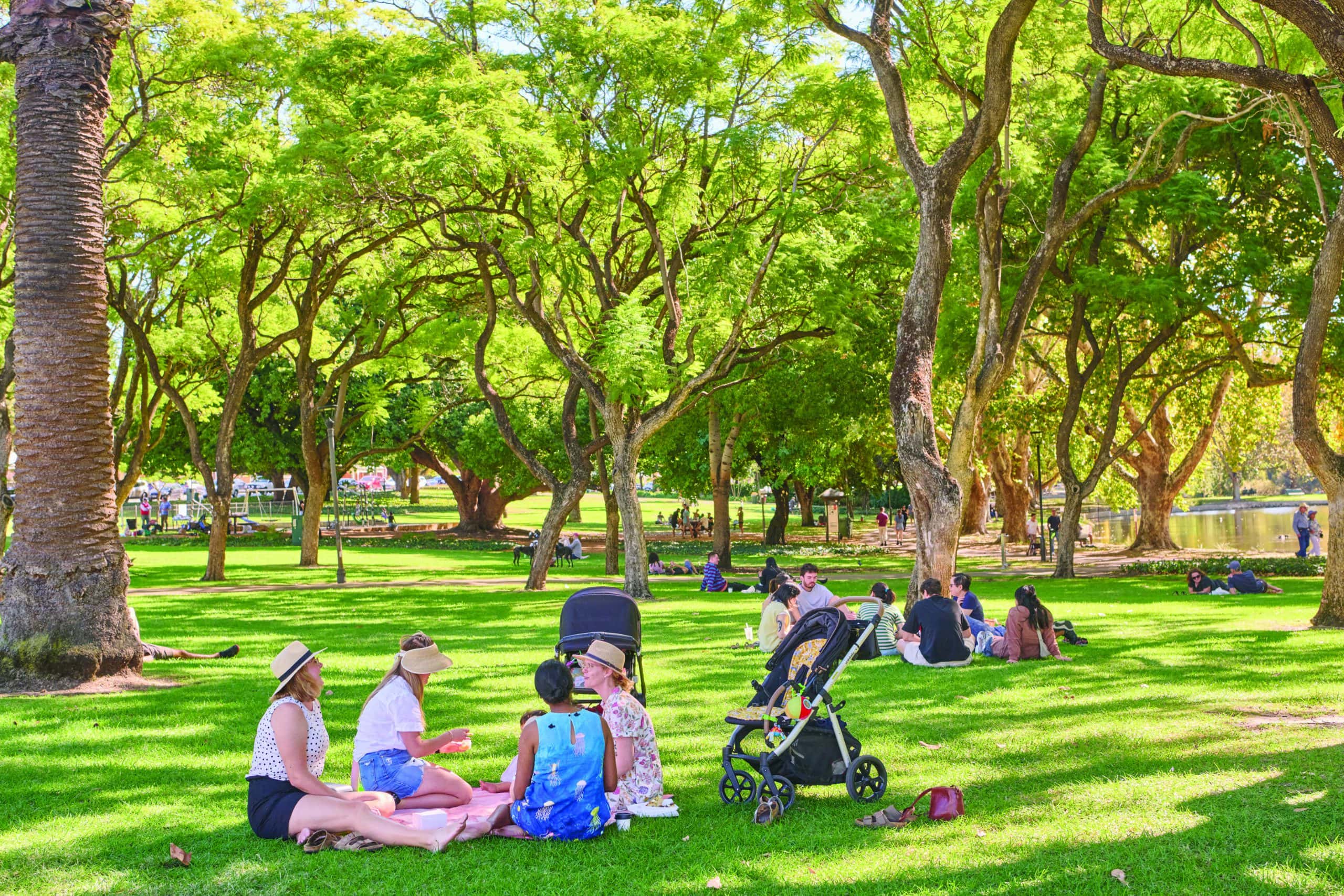Sitchu Owned Highgate Hyde Park