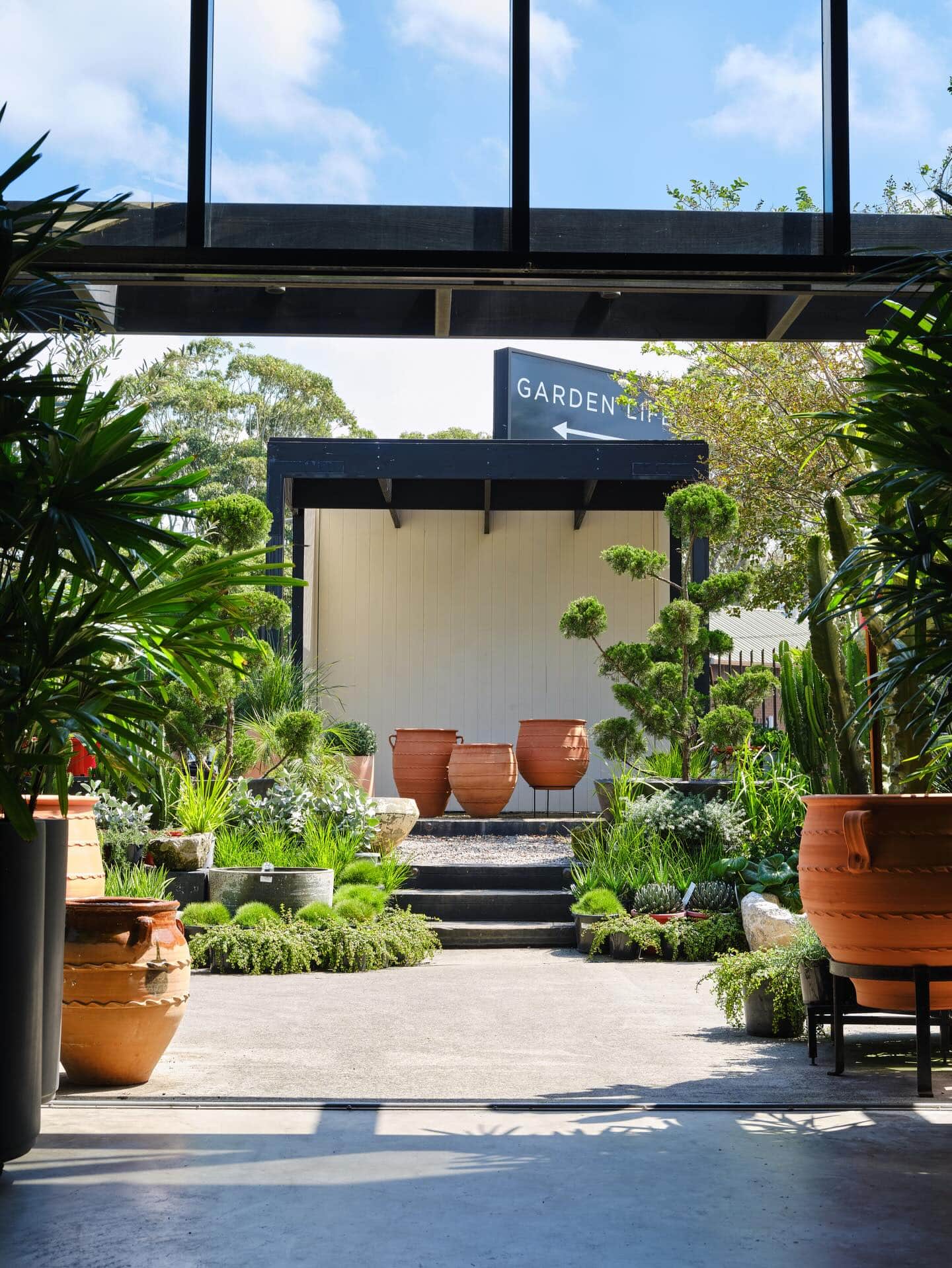 Terracotta pots and plants at entrance to Garden Life St Peters Sydney