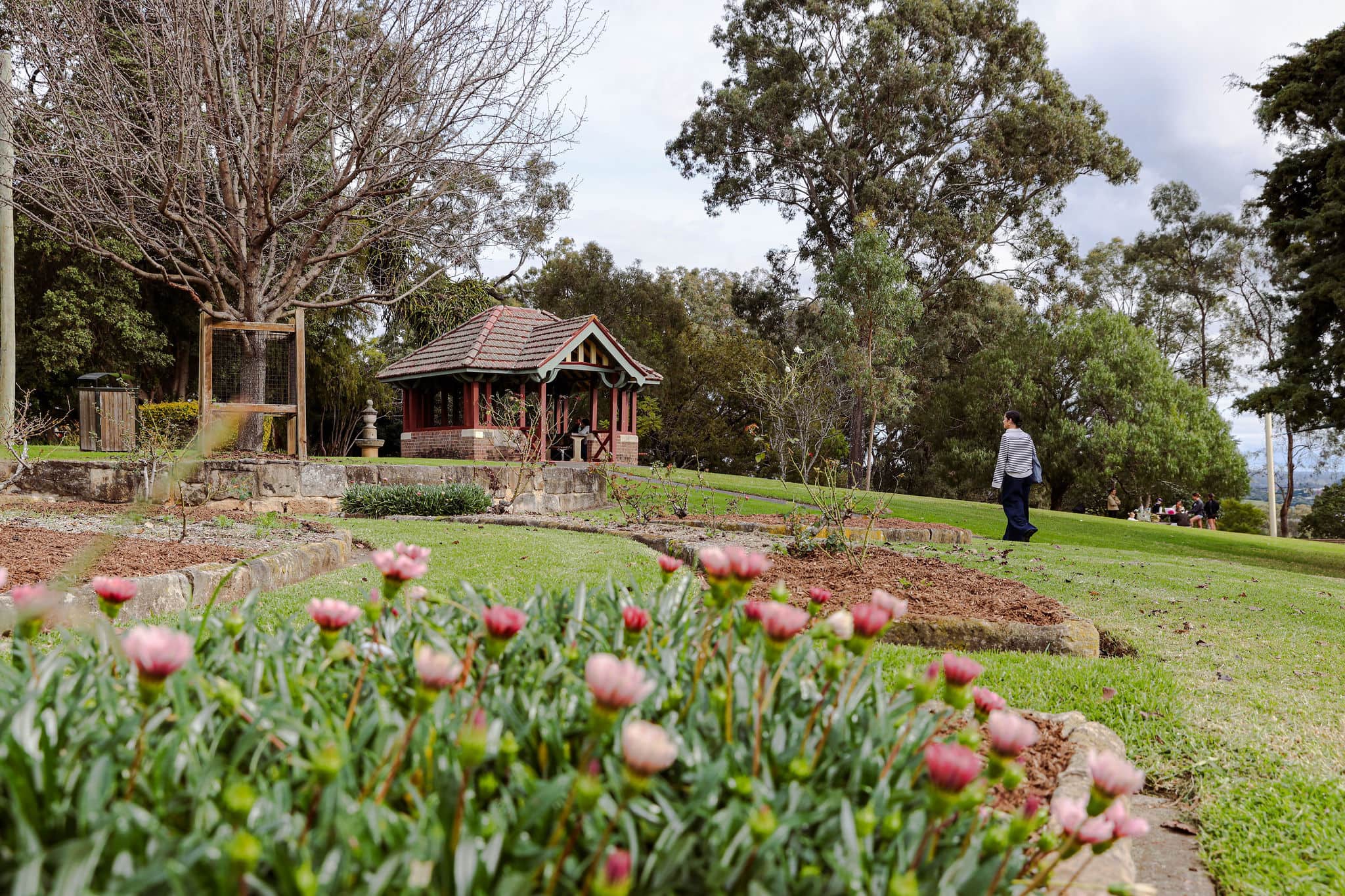 Garden in Camden, NSW