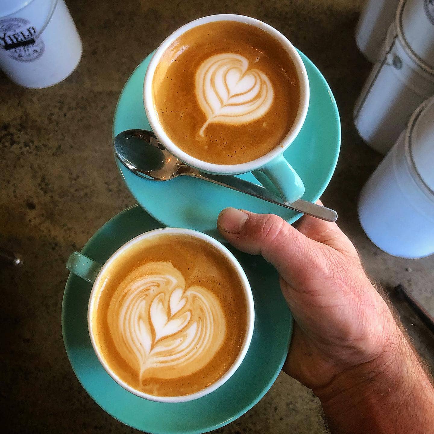 piccolo meccanico two flat white coffees diamond creek coffee shop nillumbik shire
