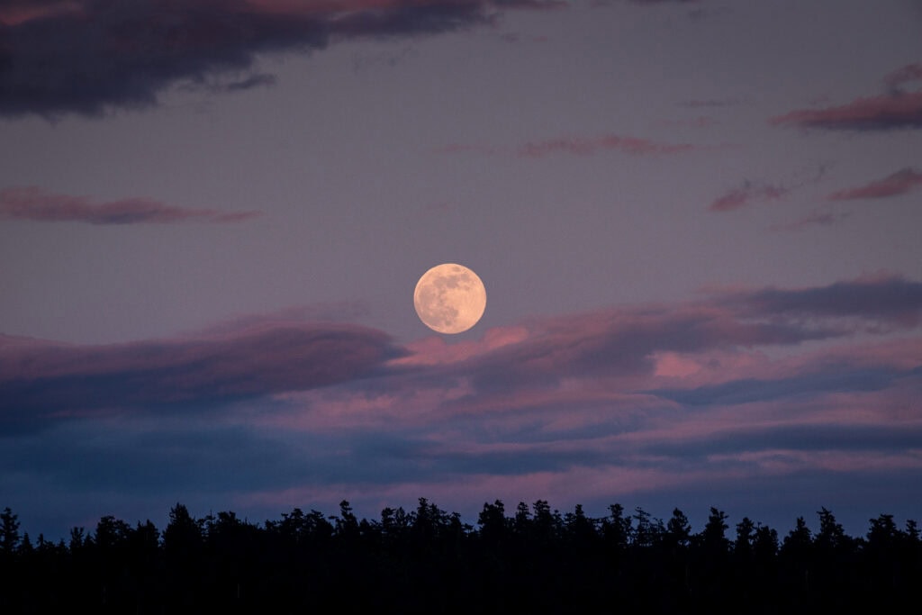 Full moon rising over a silhouetted treeline at dusk, with pink-hued clouds