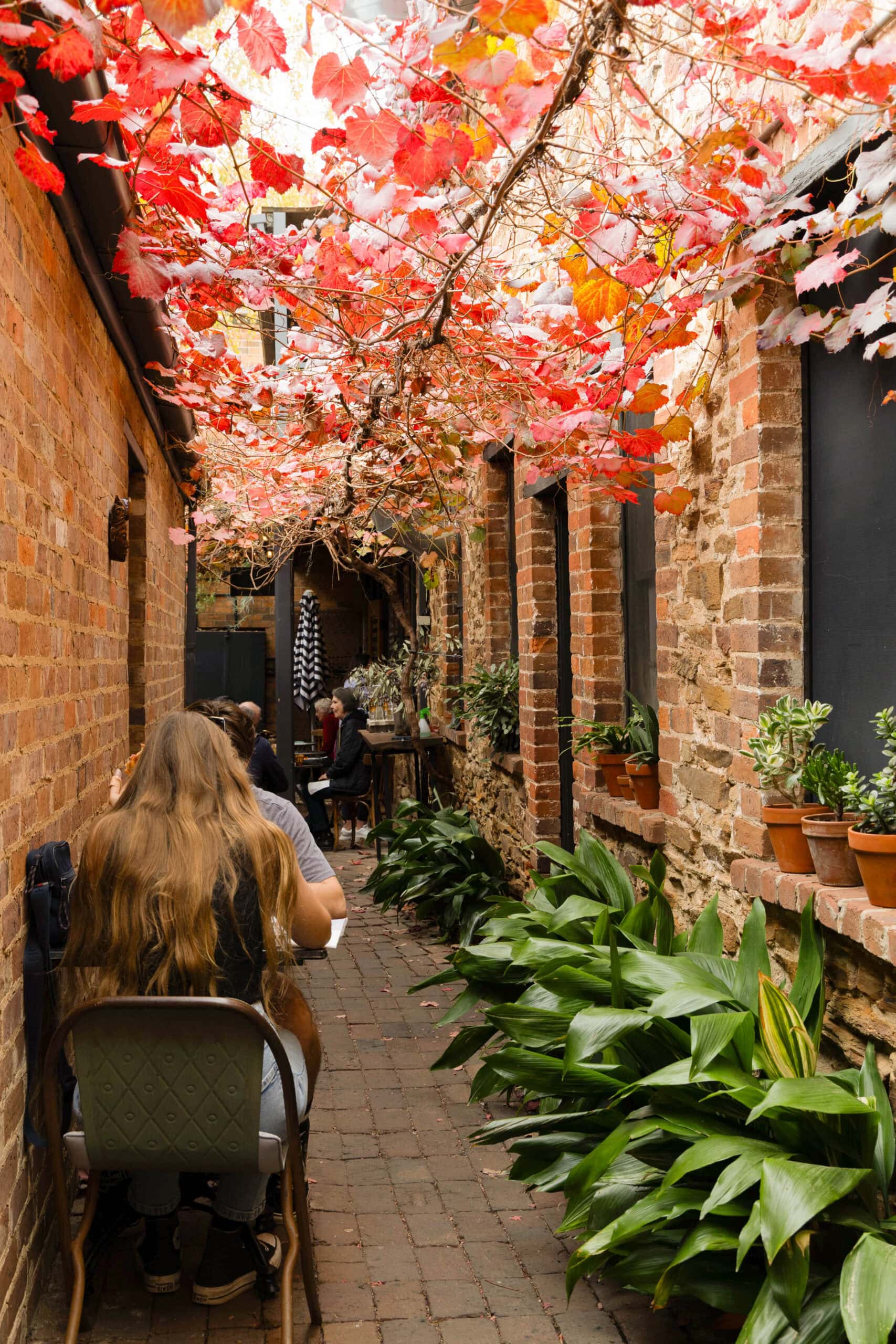The alfresco dining alleyway at Alby + Esthers in Mudgee.
