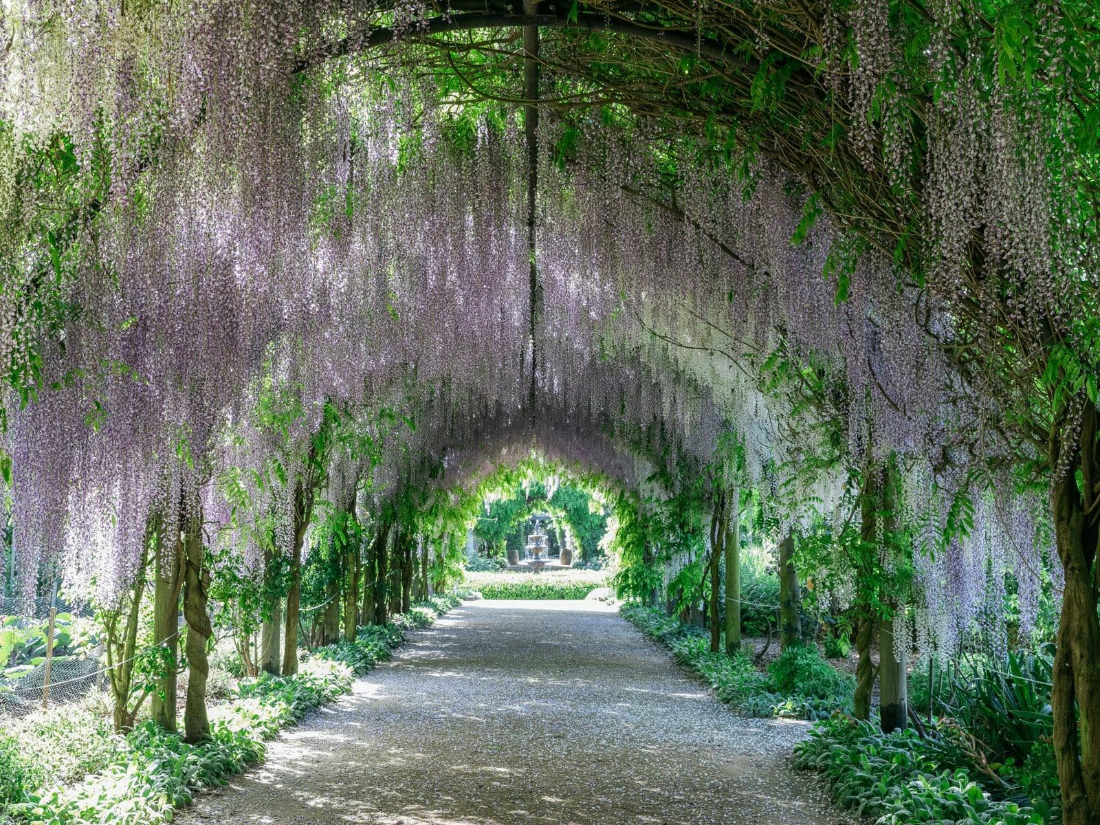 alowyn gardens yarra valley victoria