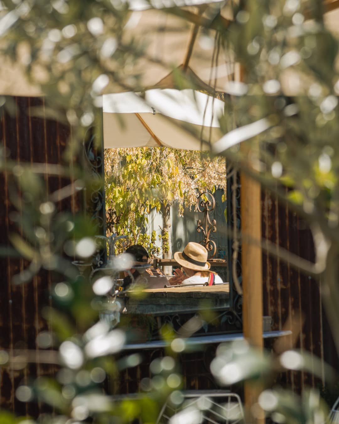 A glimpse through some trees at the leafy courtyard of Althea by Zin in Mudgee.
