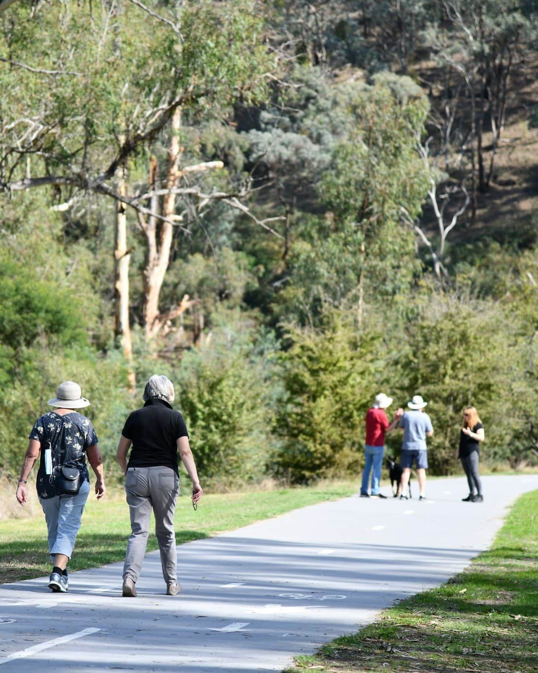 diamond creek trail visit nillumbik