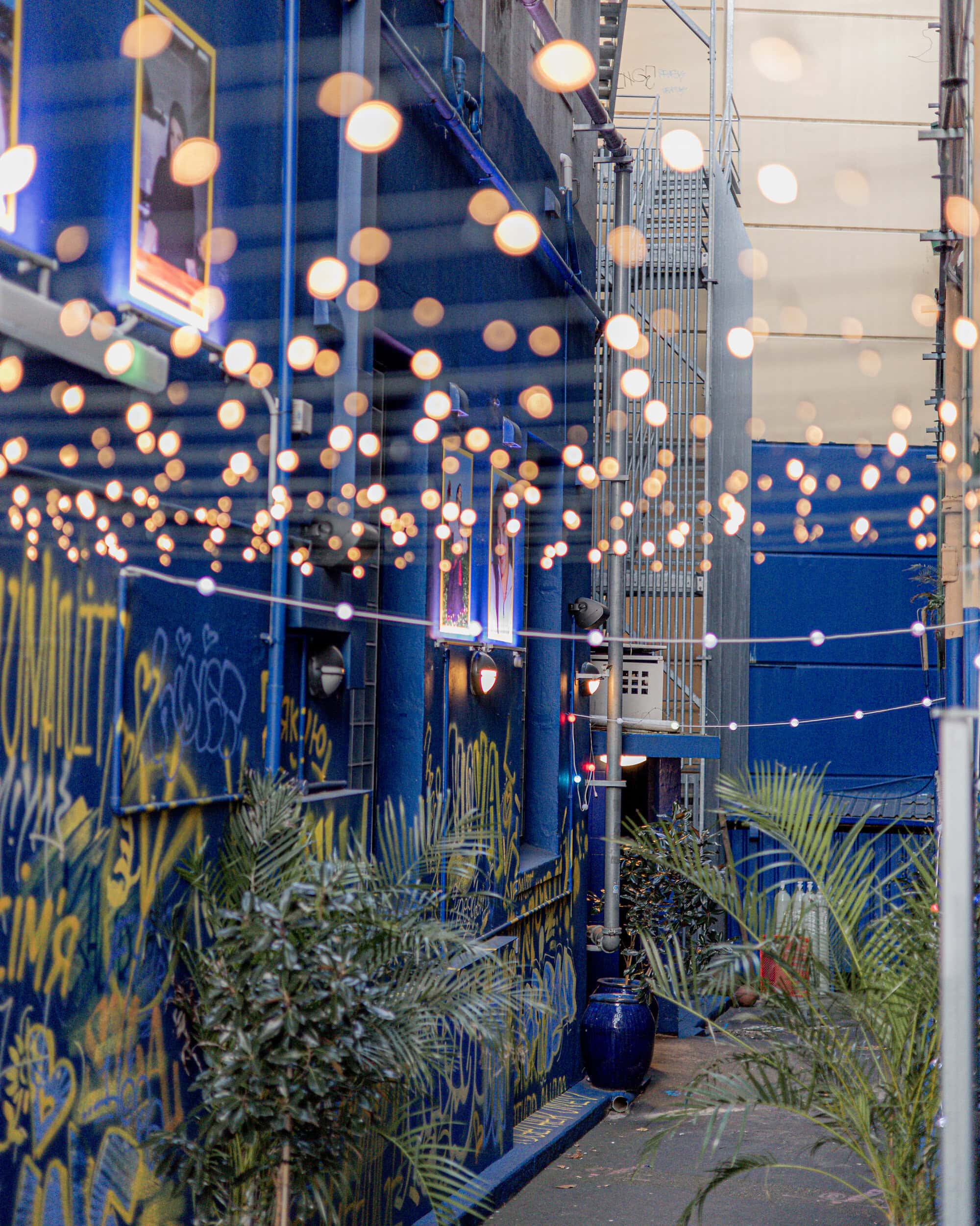 Laneway exterior with string lights and blue mural at Kyiv Social Chippendale Sydney
