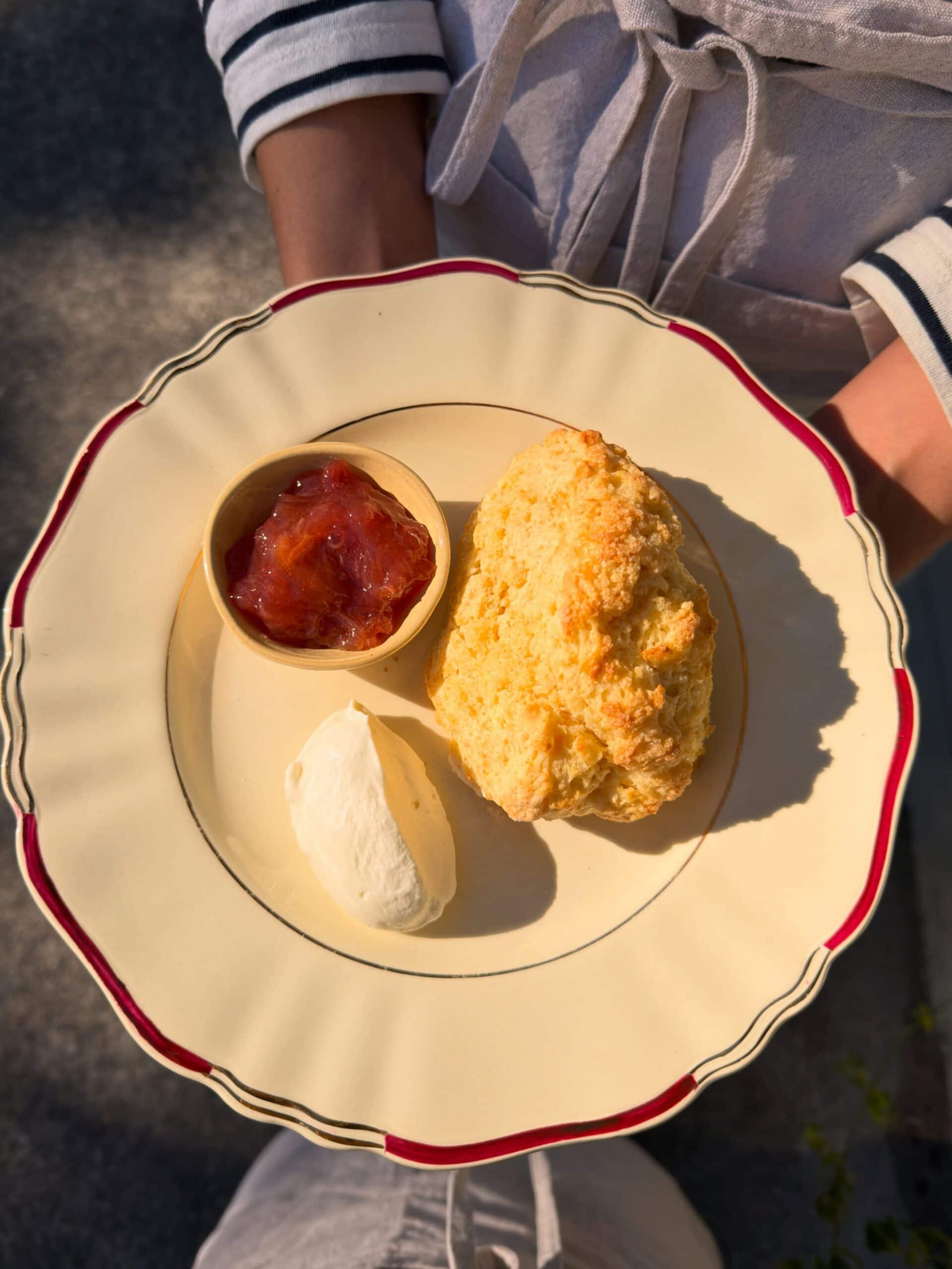 A plate of scones, jam and cream from Adelaide's Kitchen in Paddington.