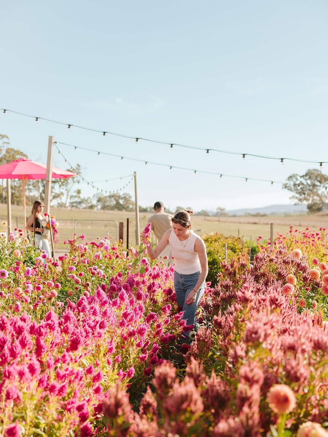 Charleston Farm in Adelaide Hills.