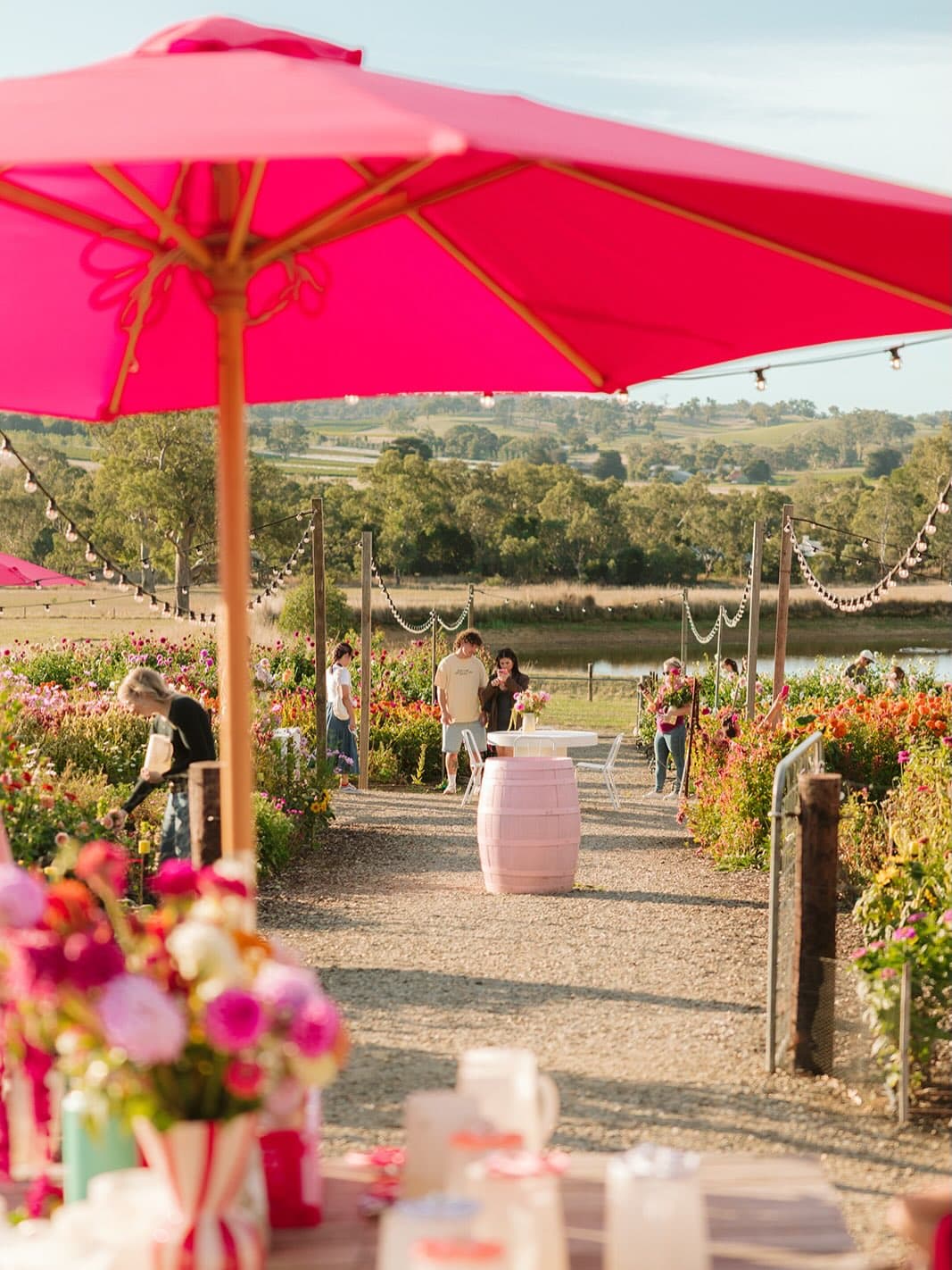 Charleston Farm in Adelaide Hills.