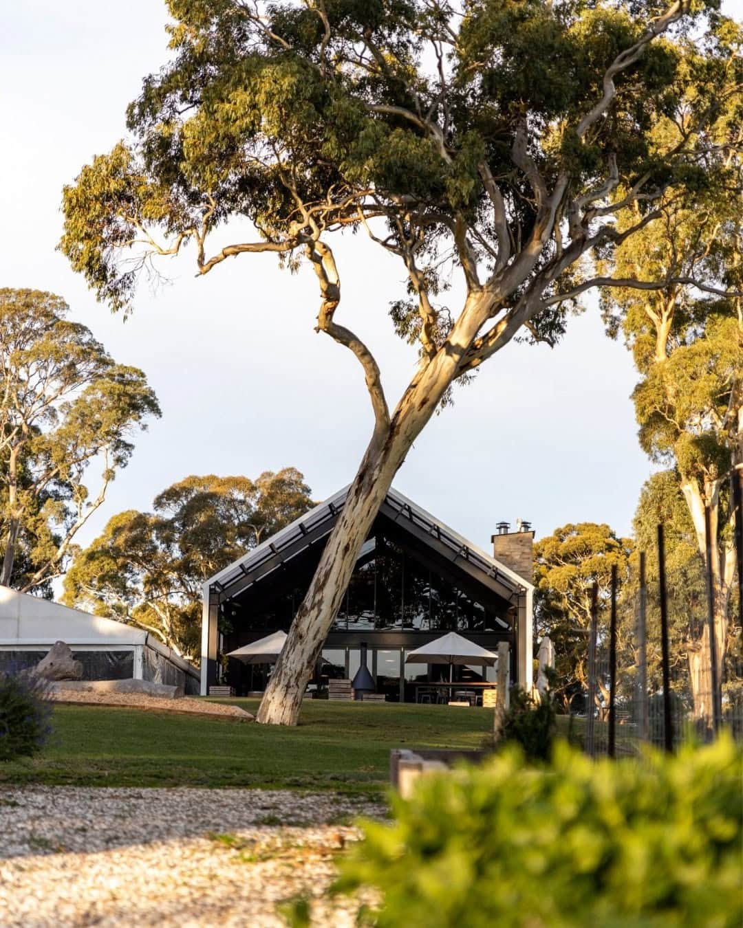Lot 100 in Adelaide Hills.