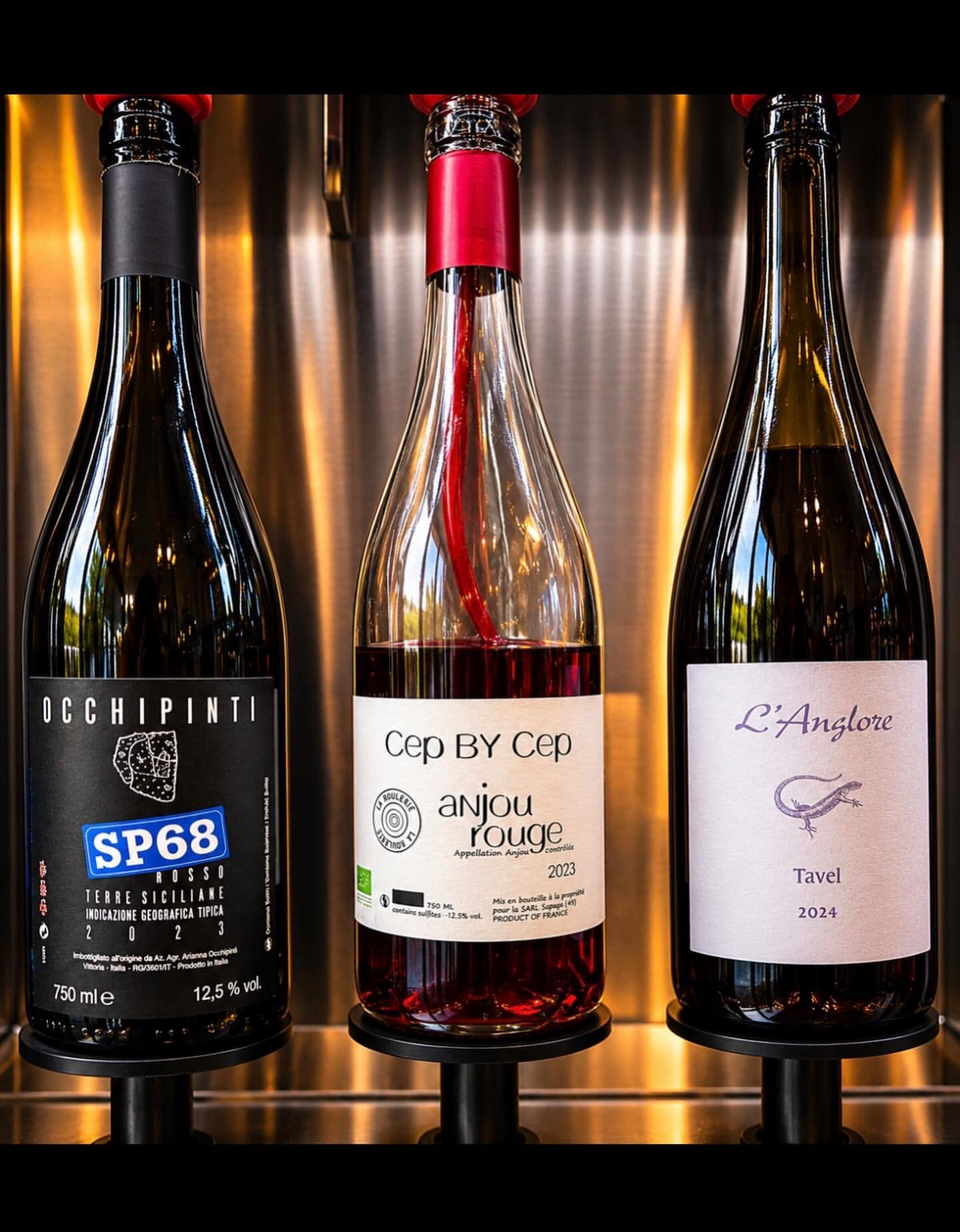 Three bottles of wine in a coravin machine at Coda Wine Bar.