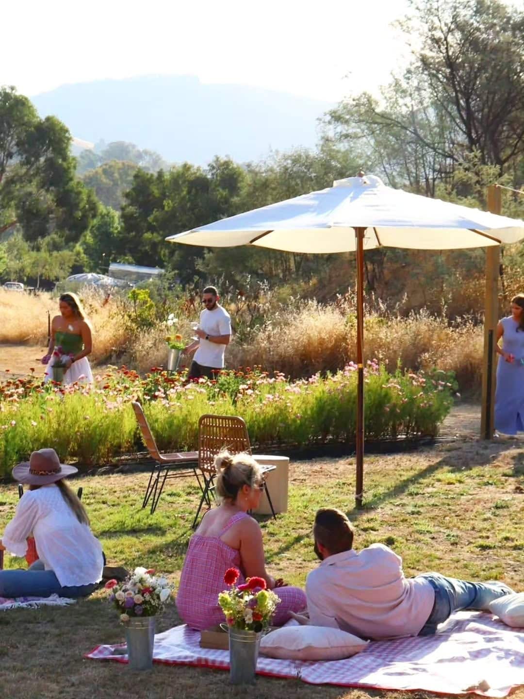 Visitors picking seasonal flowers beneath umbrellas at Bloom Into You during golden hour in Flowerdale.
