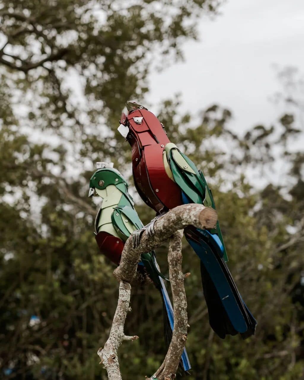 Two bird sculptures by Nick Warfield at SWELL Sculpture Festival in Brisbane.