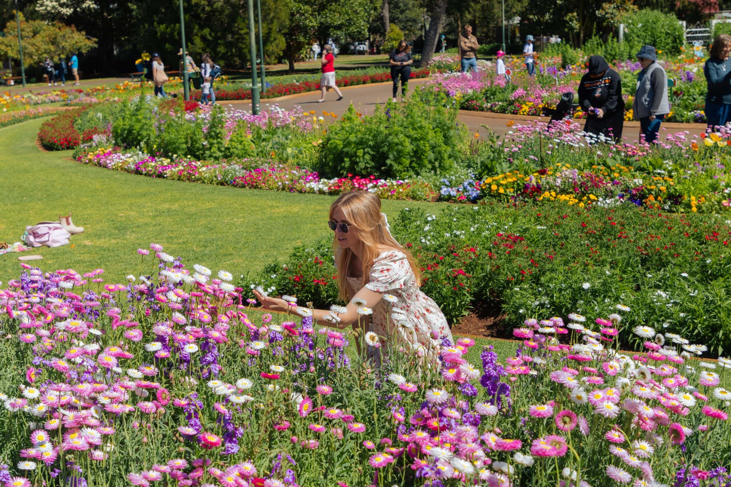 A woman looking at flowers at the Toowoomba Carnival of Flowers.