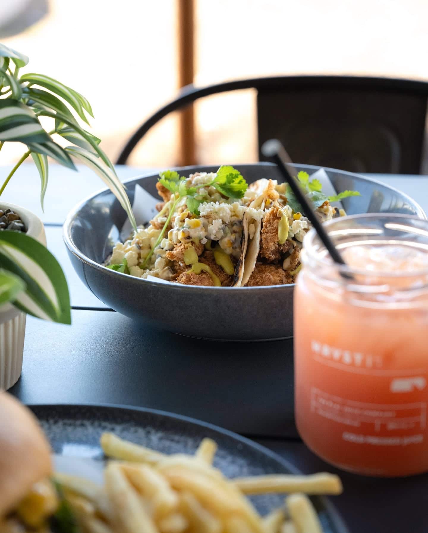 Tacos topped with corn, herbs and creamy dressing served with a refreshing drink at Brass Monkey in Mildura, Victoria.
