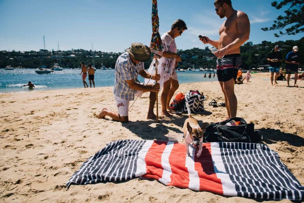 Dog standing on a striped beach towel with families setting up at Sirius Cove, Mosman, Sydney