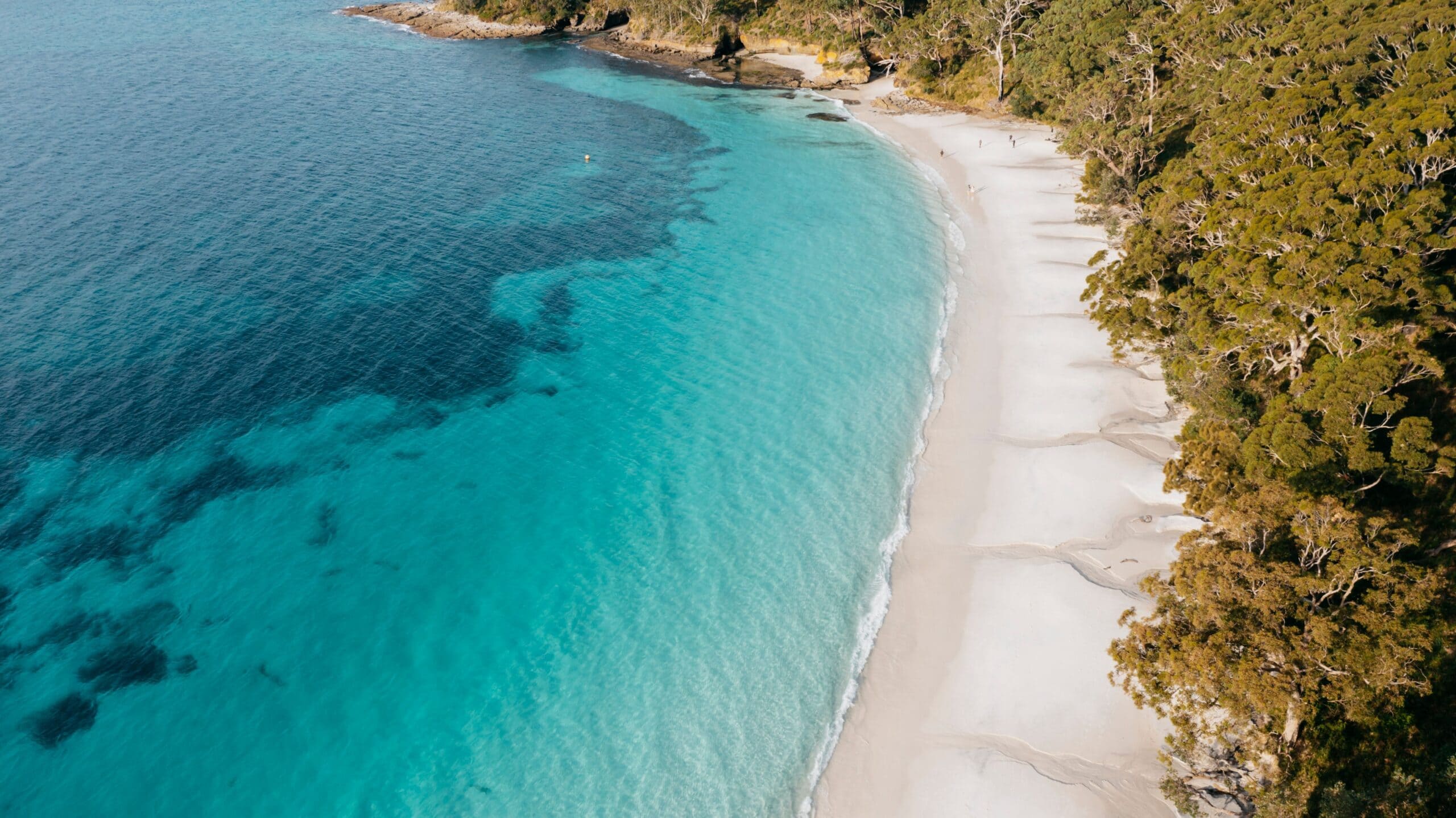 An aerial shot of the white sands and blue waters of Murrays Beach in Jervis Bay.