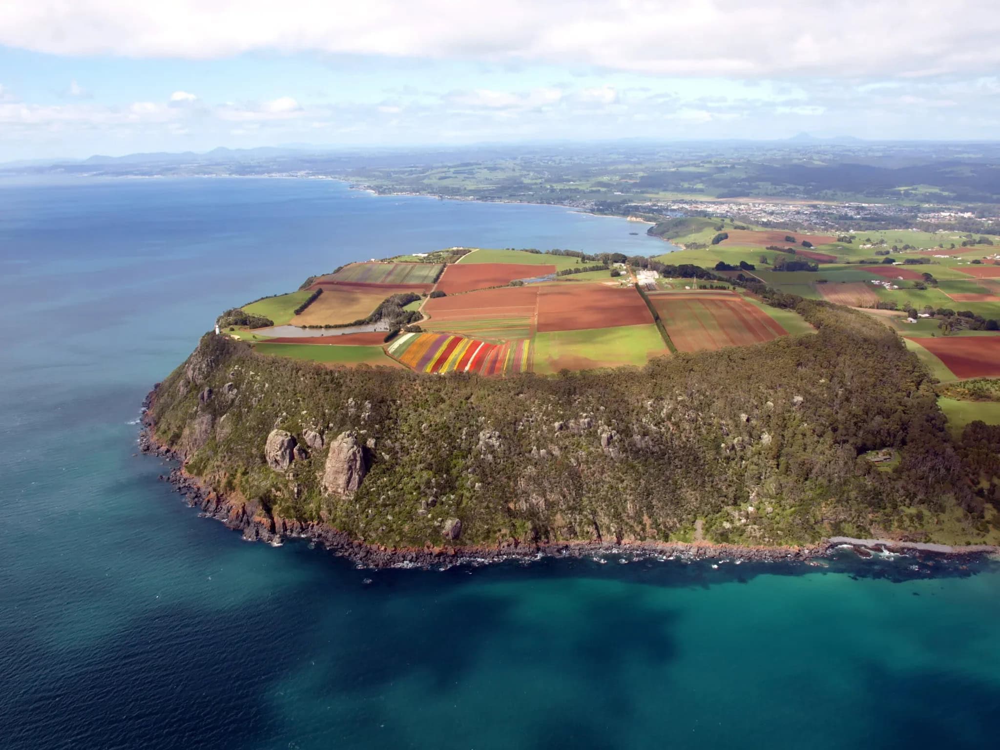 Aerial view of Table Cape Tulip Farm in Tasmania