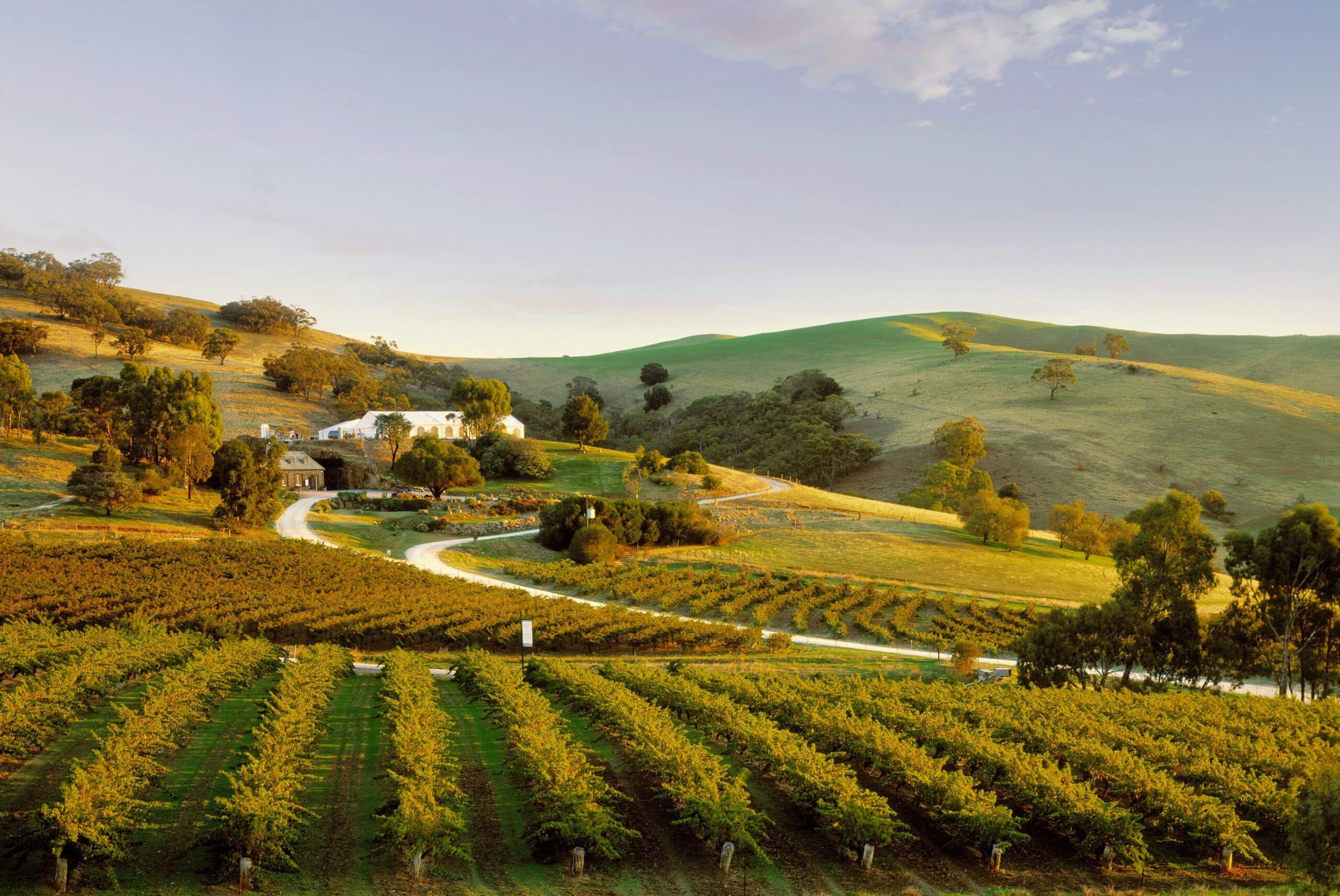 Bethany Wines in Tanunda.