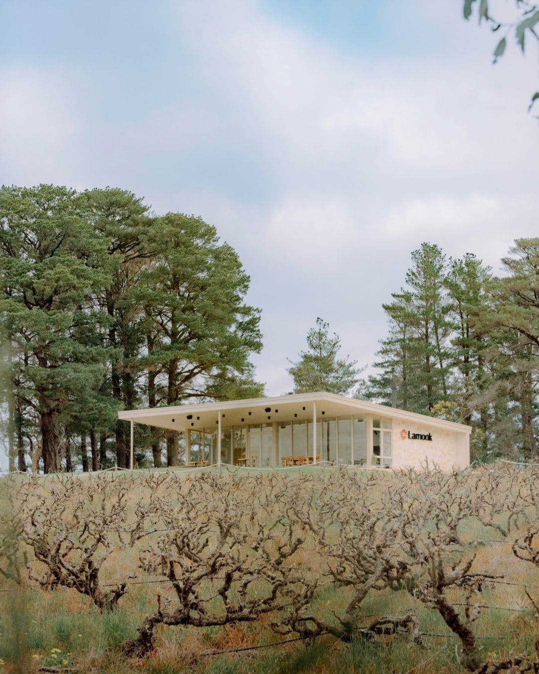 Larnook Cellar Door in McLaren Vale.
