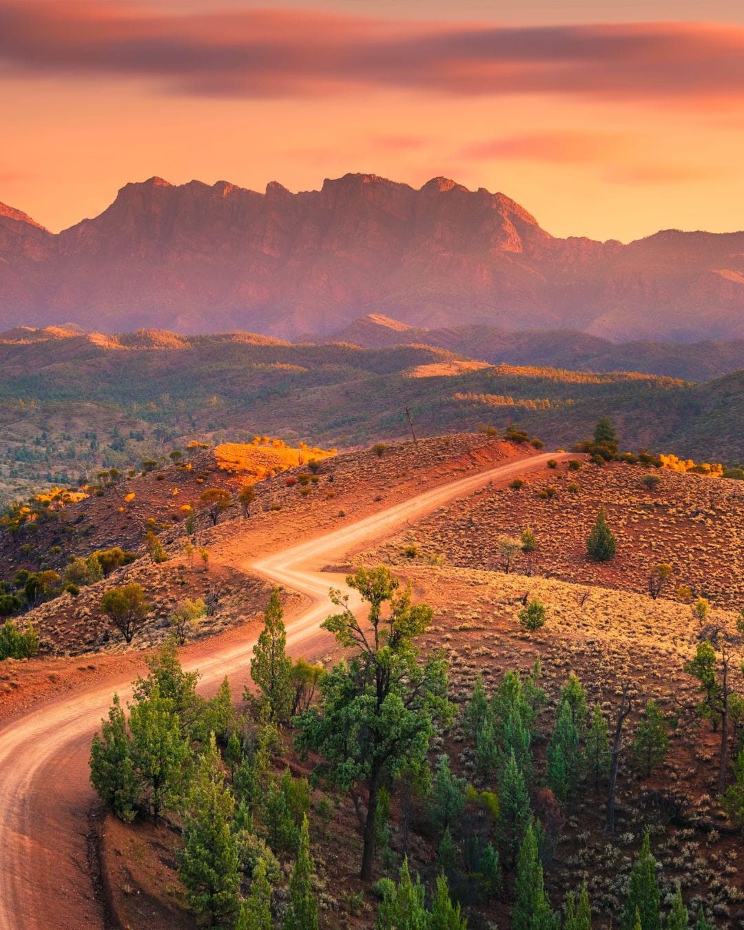 Bunyeroo Valley in Flinders Ranges & Outback.