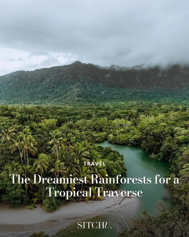 An exciting adventure lies waiting in these breathtaking rainforests... 🌿🌧️⁠
⁠
From cool temperate wonders filled with lush ferns to subtropical escapes where the air is thick with mist, these dreamy destinations are the real deal when it comes to natural beauty. 🍃🌳✨⁠
⁠
Tap the link in bio to find out where to wander next! 🥾📍