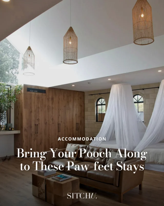 Planning a getaway with your four-legged friend? 🐕✨ ⁠
⁠
We've rounded up the best dog-friendly stays in Adelaide, so you and your pup can relax and explore together. From cosy cottages to city escapes, these spots are perfect for your next adventure. 🏡⁠
⁠
Click the link in our bio to discover more!