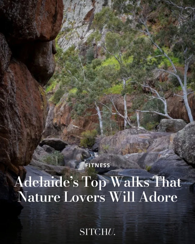 Step into nature's playground! From breathtaking lookouts to serene waterfalls, these Adelaide hikes offer the perfect escape. Lace up and explore the beauty right on your doorstep, tap the link in our bio for the full list.