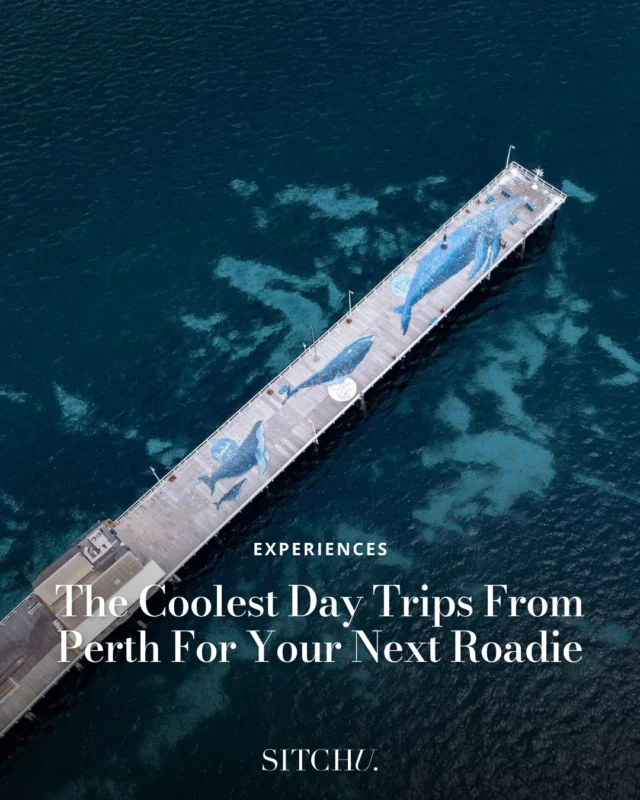 Wanting to plan a day trip and explore beyond the city? Whether you’re yearning for a gourmet getaway, a nostalgic coastal retreat, or a serene country adventure, Western Australia boasts an array of enticing destinations often just a short hop from Perth.⁠
⁠
Check out our top picks via the link in our bio.