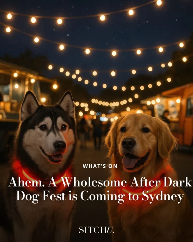 We're talking doggy disco, glow-in-the-dark collars, off-leash zoomie zones, and canine caricature artists. Obsessed. 🐶⁠
⁠
Don't sleep on it. Head to the link in our bio and snag your tickets. 🎫