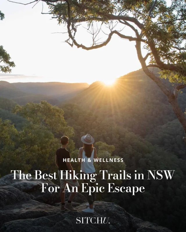 From sweeping coastal vistas to hidden mountain paths, NSW is a hiker's paradise. 🍃⁠
⁠
Whether you're after a leisurely walk or an all-day adventure, these trails are the perfect way to reconnect with nature.⁠
⁠
Start planning your next escape at the link in bio.