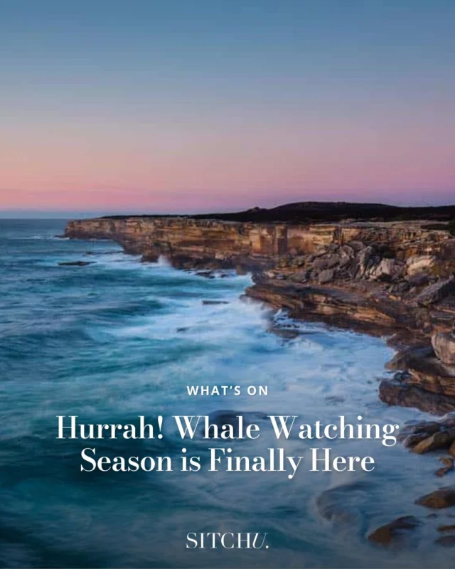 ⁠Our favourite winter activity is back ON. 🐳⁠
⁠
If you're looking to spot these gentle giants without having to leave Sydney, we've got you. Head to the link in our bio for the best whale watching spots in Syd. ⁠
⁠
📸 @alvinfutography via Sydney.com