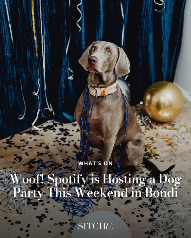 It's time to let the dogs out because this weekend Spotify is hosting an Aussie-first 'Woof Doof' for our favourite furry friends, complete with pup-friendly acai bowls and pitch-perfect tunes.⁠
⁠
There'll even be gelato on offer for all pooch owners! Tap the link in bio for all the info 🐾