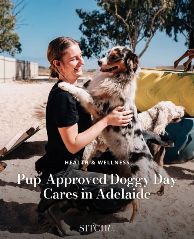 Finding the best doggy day care for your four-legged friend just got easier! 🐶🦴⁠
⁠
Whether you're heading out of town for a holiday, looking to socialise your pup while you're at work, or simply need a day off from fur-parenting, these top spots will spoil your dog with plenty of treats, pats and playtime.⁠
⁠
Tap the link in our bio to find a day care in Adelaide your doggo will love! 🐾⁠
⁠
📸: @take.the.lead.au